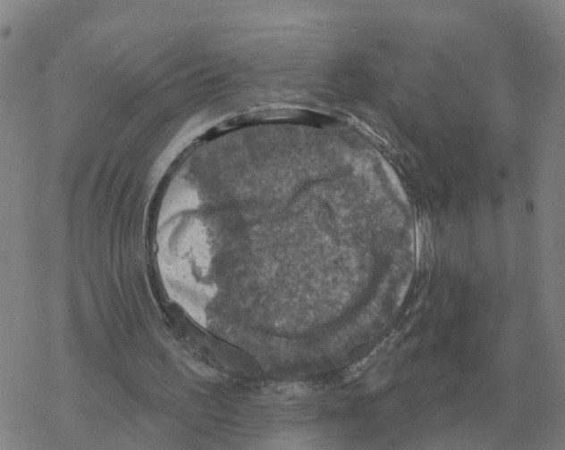 X0000068740195200605262059