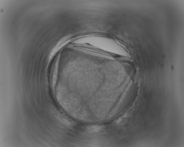 X0000068740198200605262059