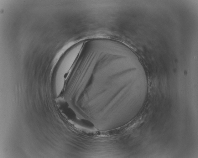 X0000068740200200605262059