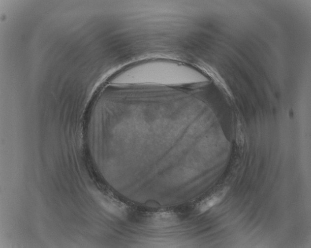 X0000068740204200605262059