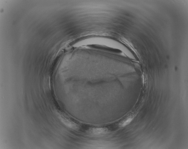 X0000068740205200605262059