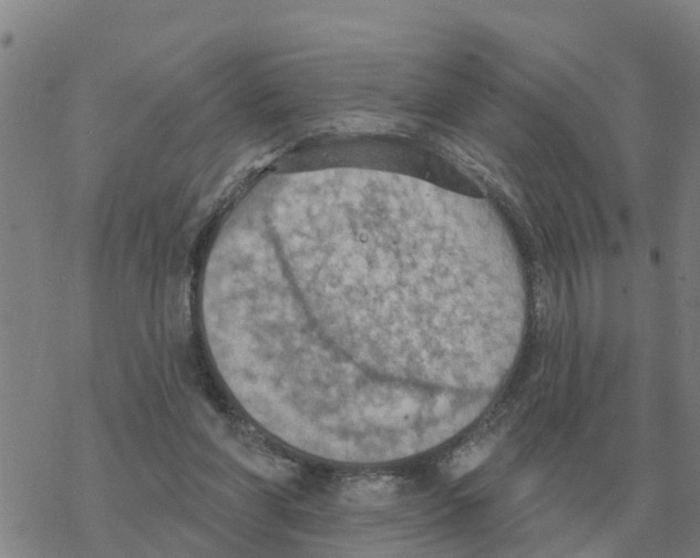 X0000068740206200605262059