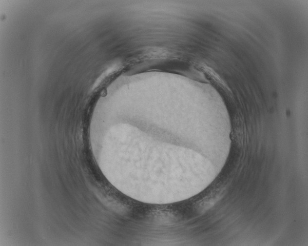 X0000068740207200605262059