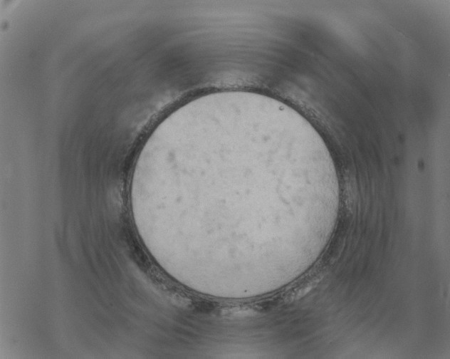 X0000068740208200605262059