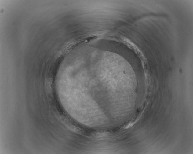 X0000068740209200605262059