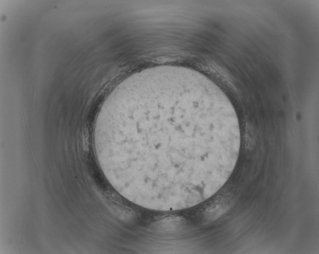 X0000068740210200605262059