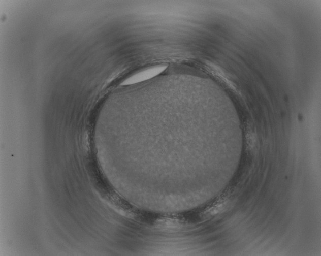 X0000068740211200605262059