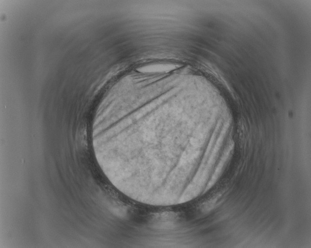 X0000068740212200605262059