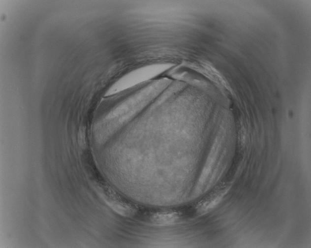 X0000068740213200605262059