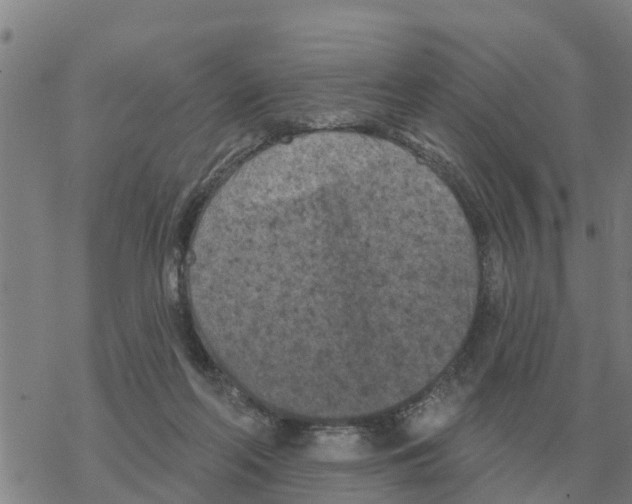 X0000068740214200605262059