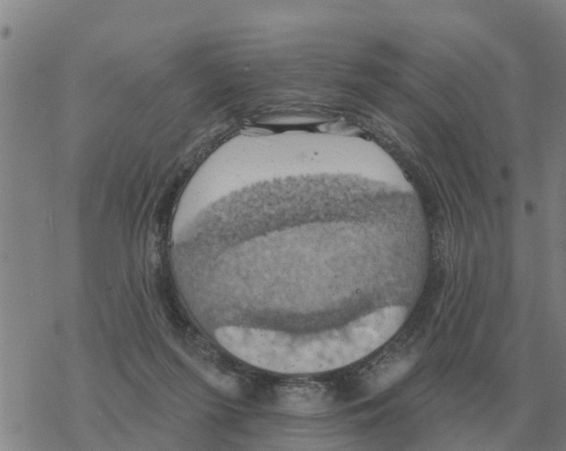 X0000068740215200605262059