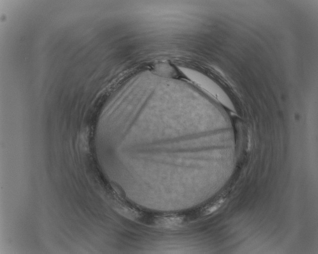 X0000068740217200605262059