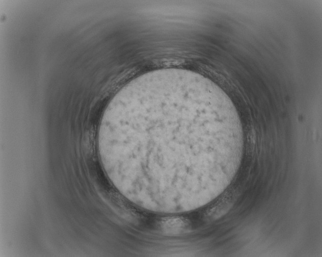 X0000068740218200605262059