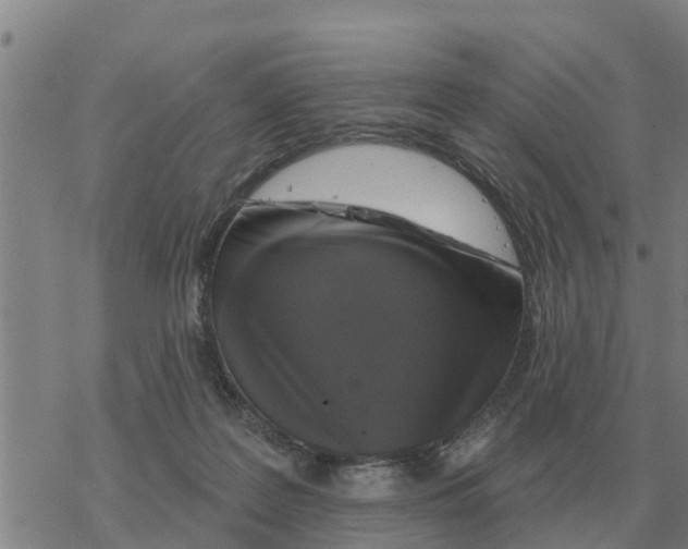 X0000068740219200605262059