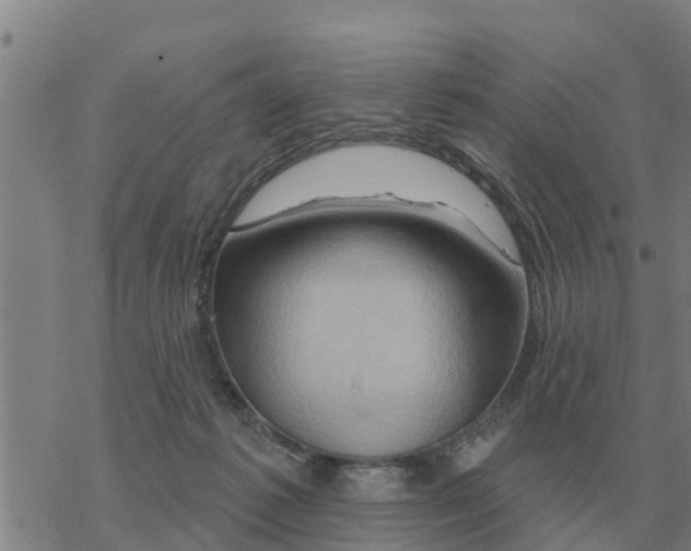 X0000068740221200605262059