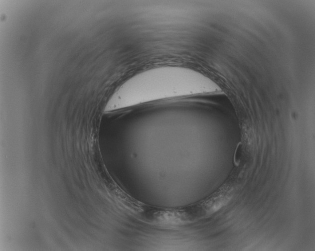 X0000068740223200605262059