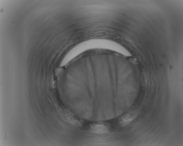 X0000068740224200605262059