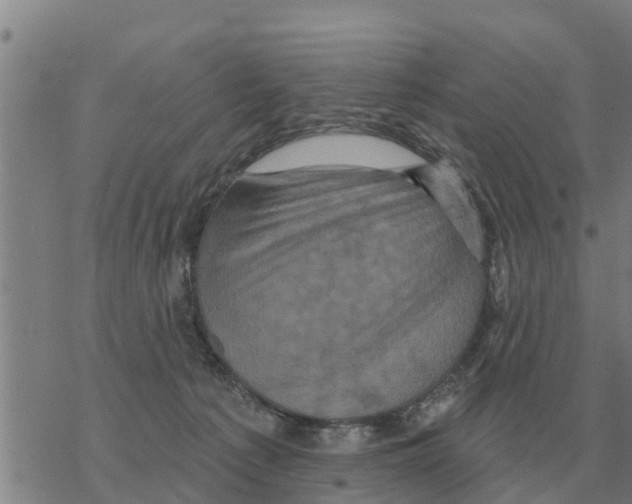 X0000068740225200605262059