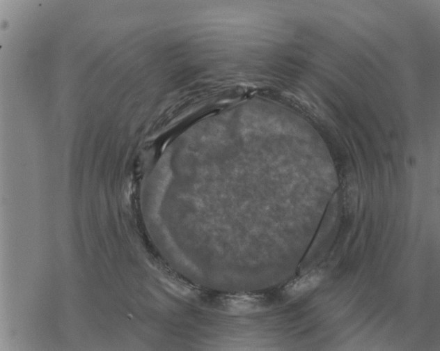 X0000068740229200605262058