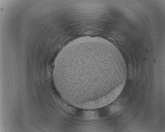 X0000068740230200605262058