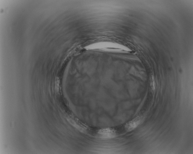 X0000068740231200605262058