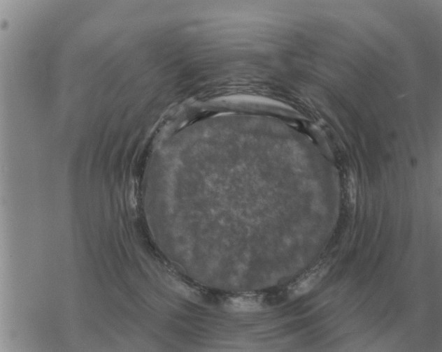 X0000068740232200605262058