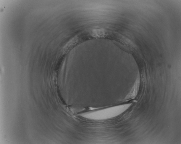 X0000068740233200605262058