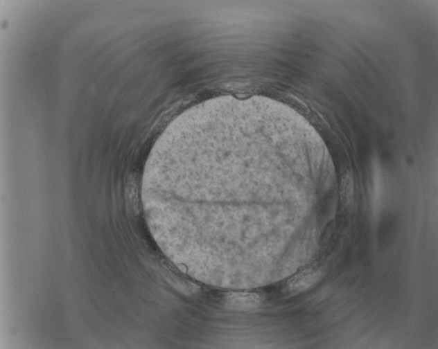 X0000068740234200605262058