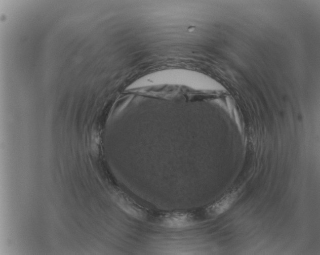 X0000068740235200605262058