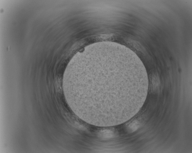 X0000068740236200605262058