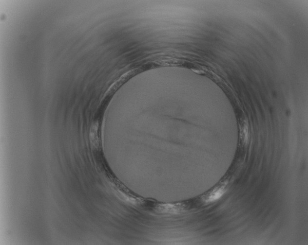 X0000068740239200605262058