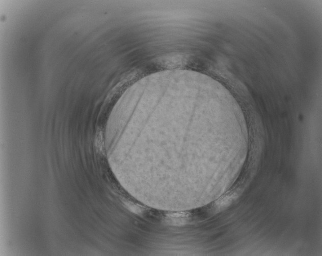 X0000068740240200605262058