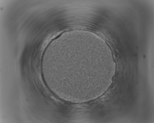 X0000068740241200605262058