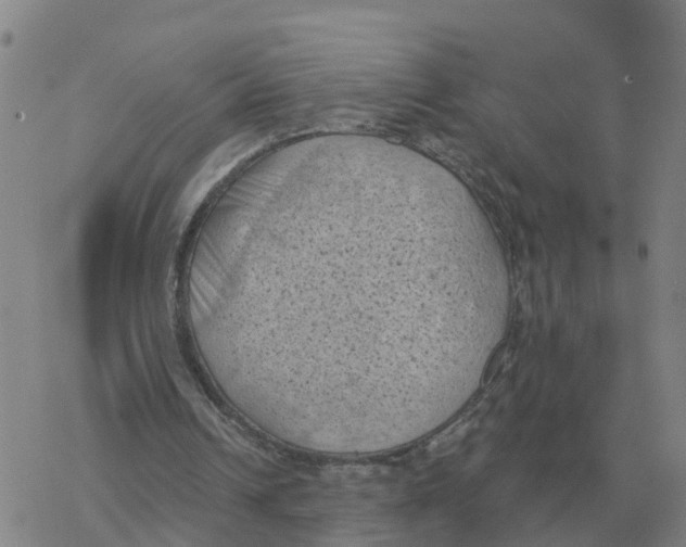 X0000068740242200605262058