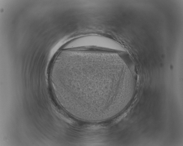 X0000068740246200605262058