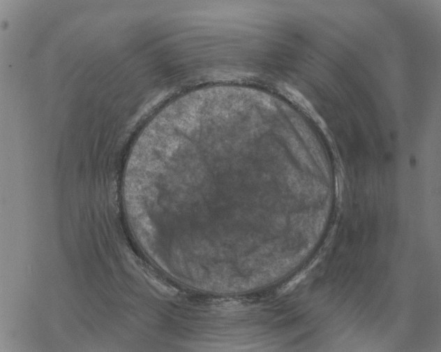 X0000068740249200605262058