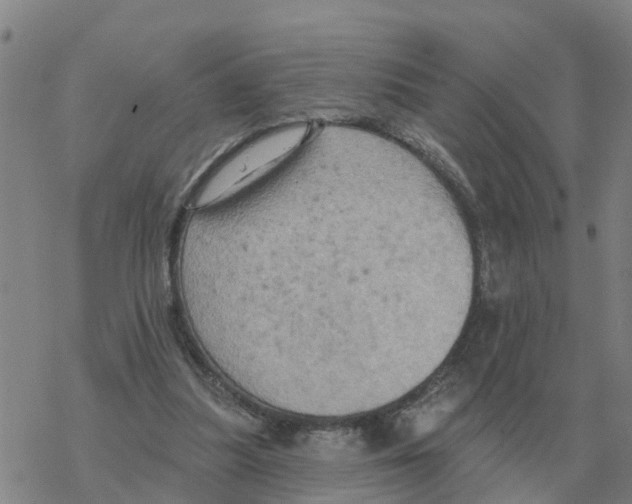 X0000068740251200605262058