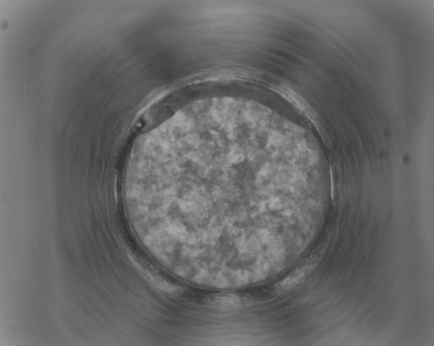 X0000068740253200605262058