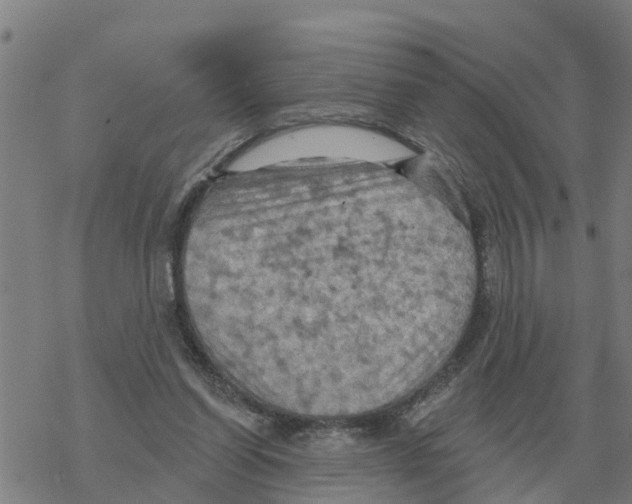 X0000068740254200605262058