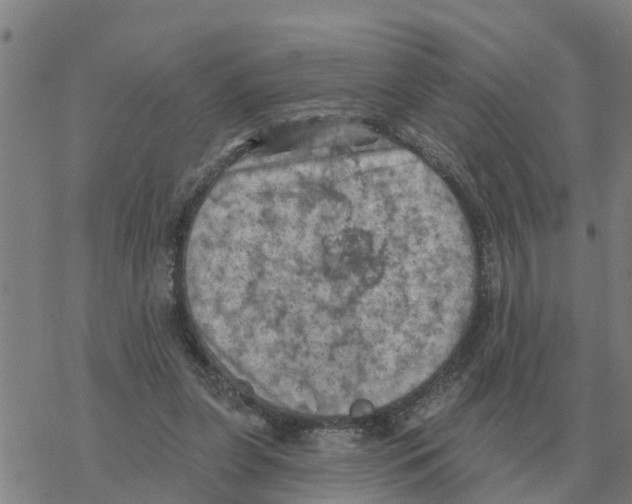 X0000068740255200605262058