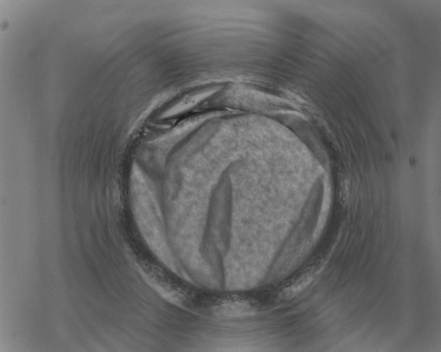 X0000068740256200605262058