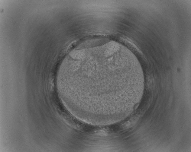 X0000068740259200605262058