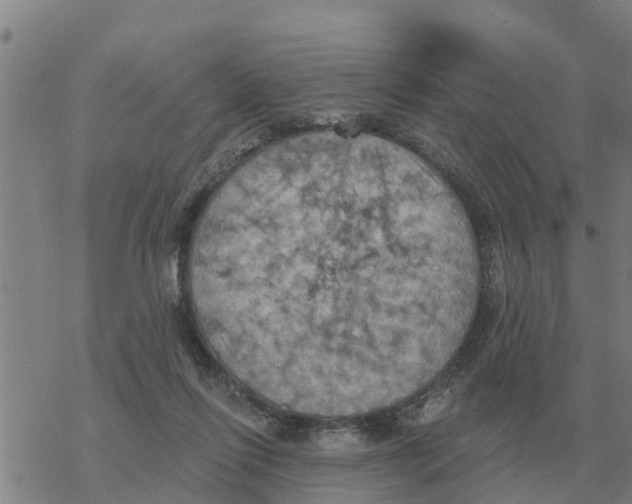 X0000068740262200605262058