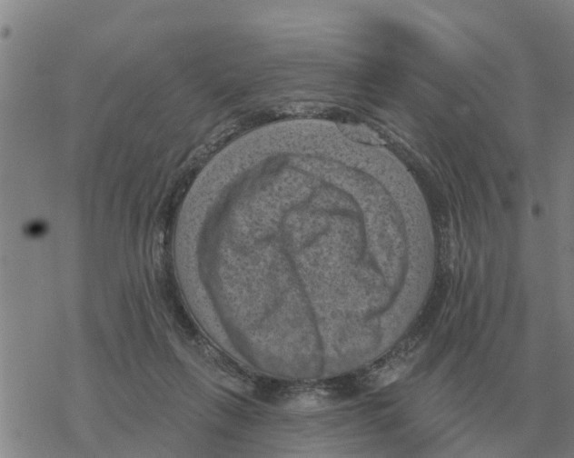 X0000068740263200605262058