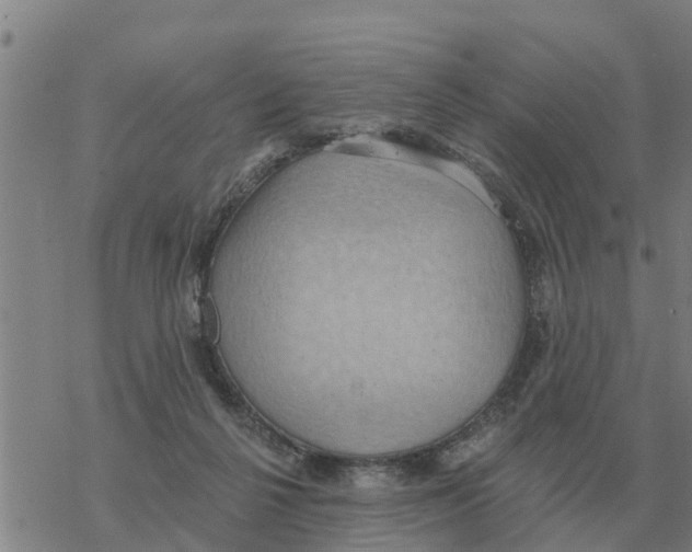 X0000068740264200605262058