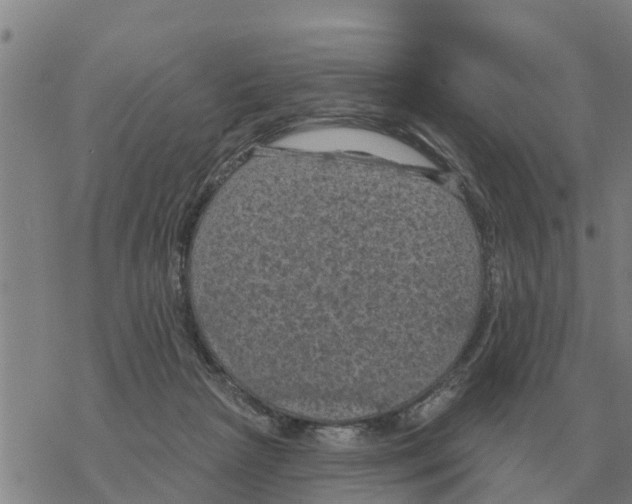 X0000068740265200605262058