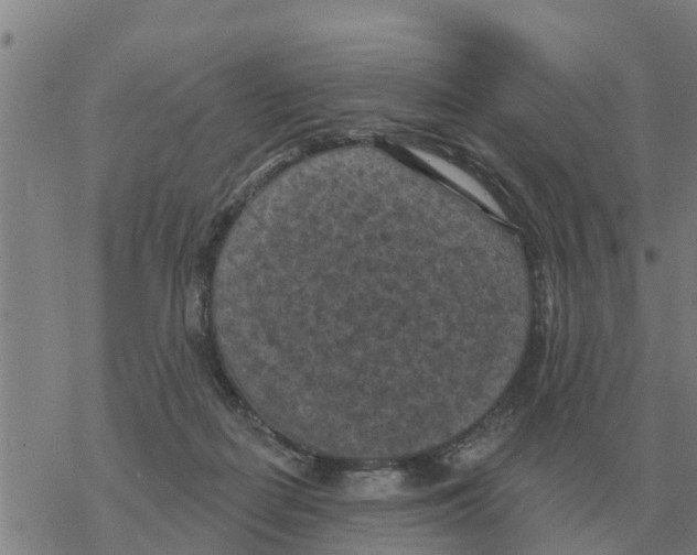 X0000068740266200605262058