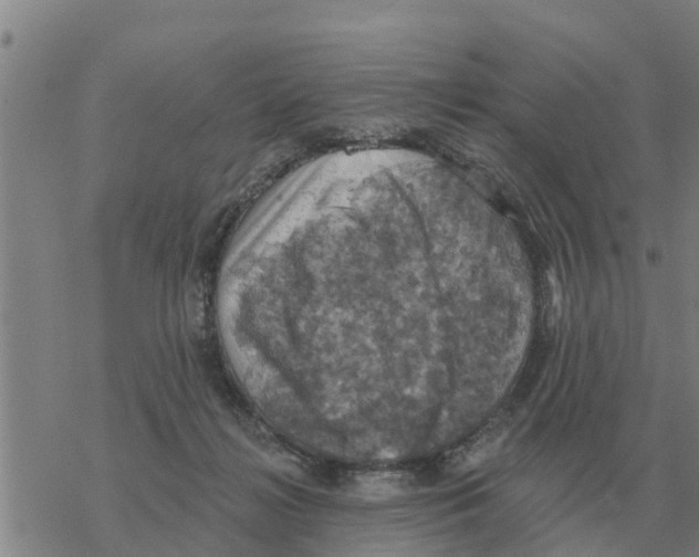 X0000068740268200605262058