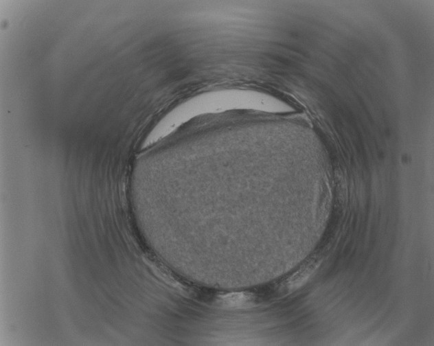 X0000068740269200605262058