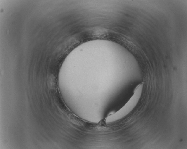 X0000068740270200605262058